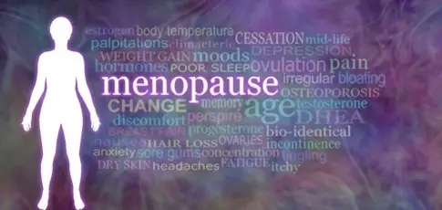 Factors Contributing to Menopause Weight Gain